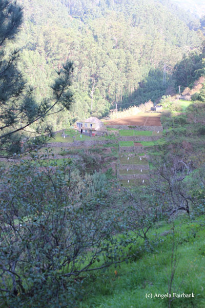 view of farms
