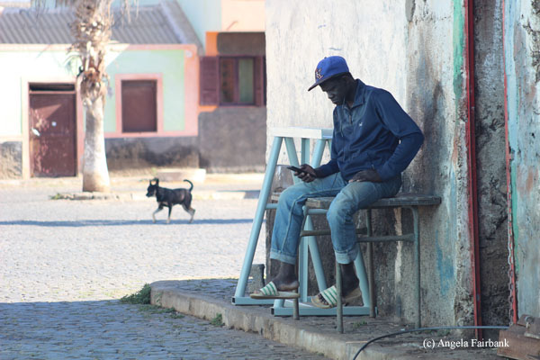 man with phone in palmeira