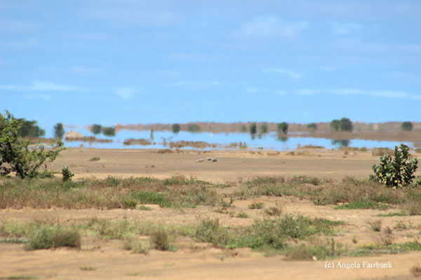 mirage